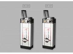 鋰電電動自行車-- 浙江天能能源科技有限公司