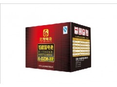 江西云龍電池6-EVF-32-- 江西萬年縣云龍電源有限公司