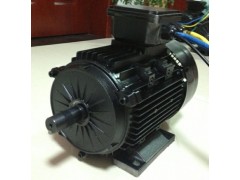 直流永磁無刷電機-- 常州永沛機電技術有限公司