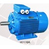 MD2E高效性三相異步電動機(jī)