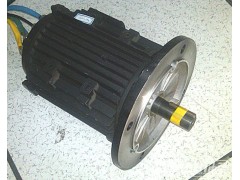 供應48V3.5KW電動平板車直流電機-- 常州永沛機電技術有限公司