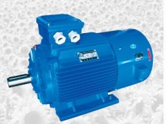 MDSP系列三相交流異步電動機-- 大連電機廠-大連電機集團有限公司