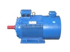 MDZP冶金起重用變頻調速三相異步電動機-- 大連電機廠-大連電機集團有限公司