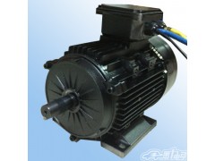 地軌車專用電機,電動軌道車電機-- 常州永沛機電技術有限公司