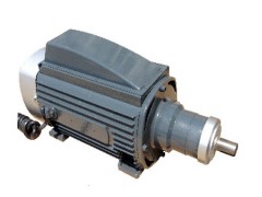 德驅馳高效磨頭電機-- 上海德驅馳電氣有限公司