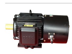 德驅馳印刷專用變頻電機-- 上海德驅馳電氣有限公司