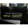 拉普特蓄電池NP100-12/拉普特電池12V