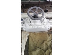 常德湘潭閥門保溫套|閥門隔熱套|可脫卸保溫套|哪家專業(yè)-- 湖南威耐斯新材料科技有限公司