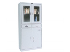 二門文件柜多門文件柜-- 河北標榜金屬制品有限公司