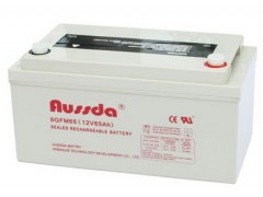 奧斯達(dá)蓄電池6GFM65蓄電池UPS-- 奧斯達(dá)蓄電池官方網(wǎng)站