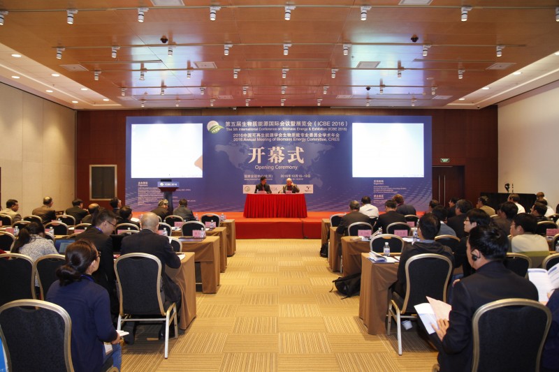 第五屆生物質(zhì)能源國際會議暨展覽會開幕式