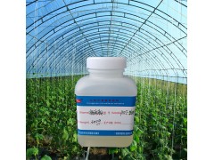 戶外大棚粘合劑 貨車油布補漏防水膠水 尼龍布修補專用膠水-- 東莞市普維特潤滑油有限公司