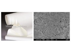 PTFE微濾膜-- 邁博瑞生物膜技術(shù)有限公司