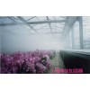 花卉種植加濕器
