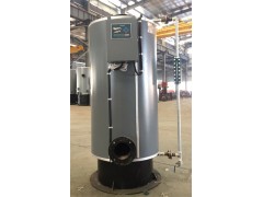 新款300kg燃氣鍋爐 環保鍋爐-- 浙江聚能鍋爐制造有限公司