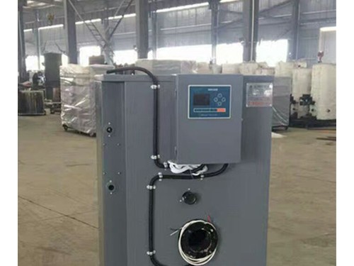 100kg燃?xì)忮仩t (0)