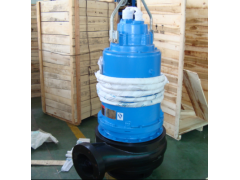 南京藍深水泵耦合裝置-- 藍深集團股份有限公司