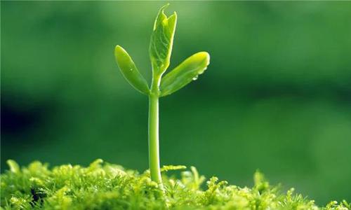 Cgqg2Vi2JU2AO7_JAAA_DQJbmPg233