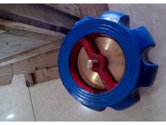 進口南瓜型止回閥-- 東洋閥門深圳有限公司