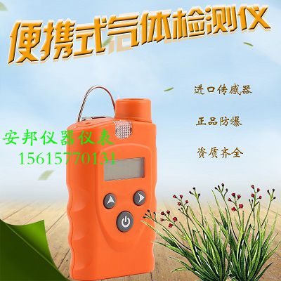甲烷泄漏報(bào)警器-- 濟(jì)南安邦儀器儀表有限公司