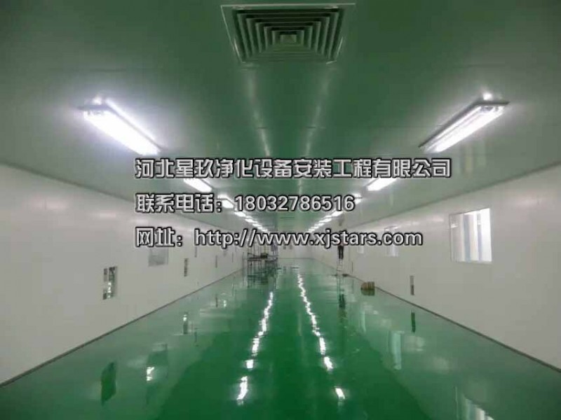 邢臺潔凈工程公司、星玖凈化工程（咨詢查看）、凈化廠房建設(shè)-- 河北星玖凈化設(shè)備安裝工程有限公司