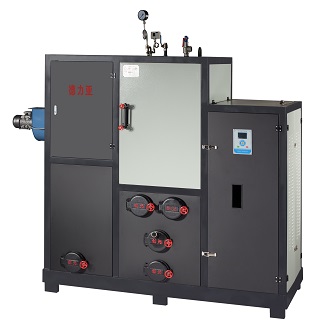 臺州生物質鍋爐 生物質蒸汽鍋爐廠家-- 浙江創元環境設備有限公司