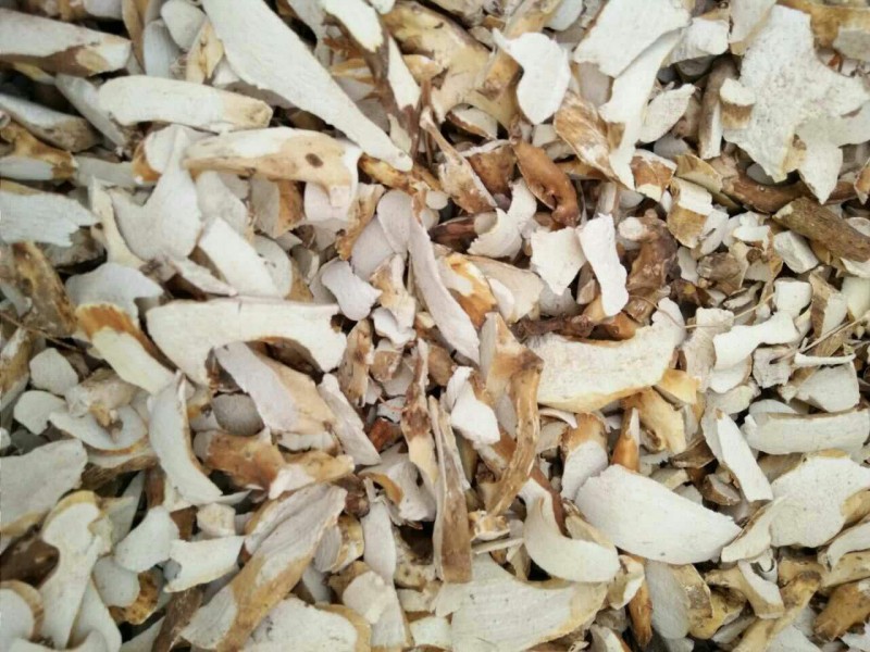 東北藥材購銷-- 東北藥材購銷