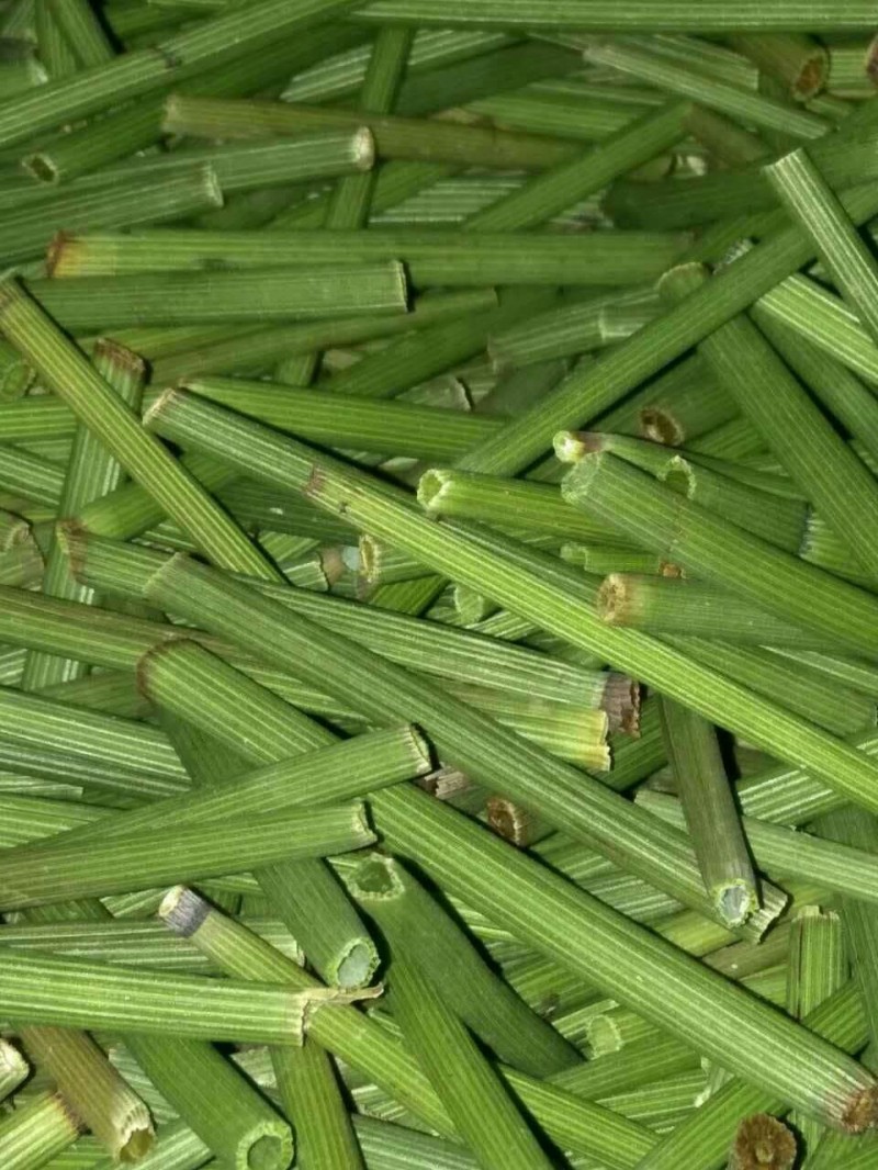 東北藥材購銷-- 東北藥材購銷