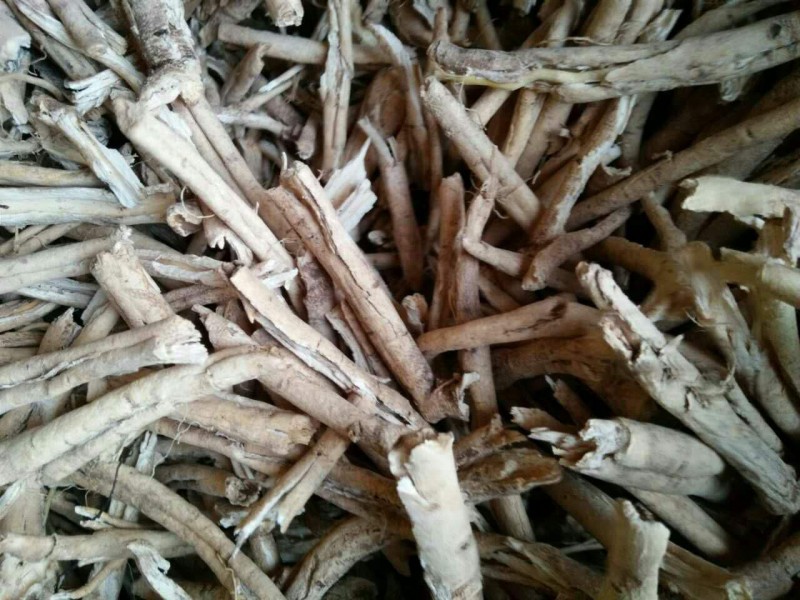 東北藥材購銷-- 東北藥材購銷