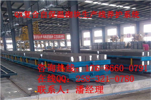 自保溫砌塊設備-新型節能墻材設備的風向標-- 山東七星實業公司