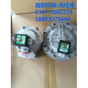 三寸淹沒式DSF-Y-80DMF電磁脈沖閥廠