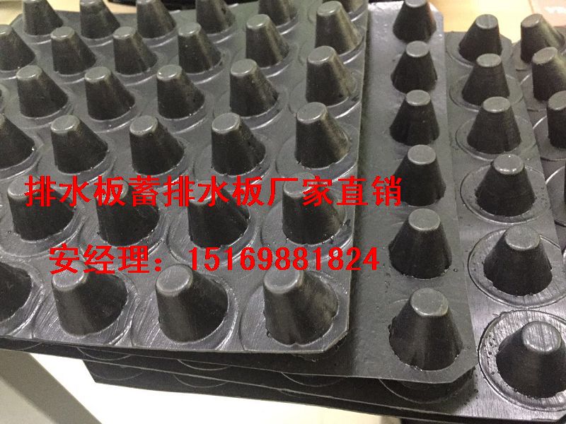 達(dá)州濾水板\地下室排水板廣元車庫#蓄排水板-- 泰安市綠泰建材有限公司