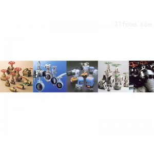 開(kāi)滋球墨鑄鐵截止閥-日本KITZ青銅截