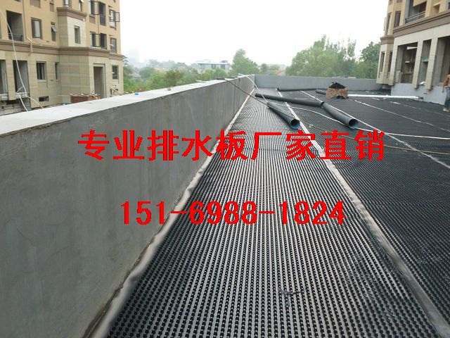 臨夏(地下室塑料排水板嘉峪關)車庫頂板排水板-- 泰安市綠泰建材有限公司