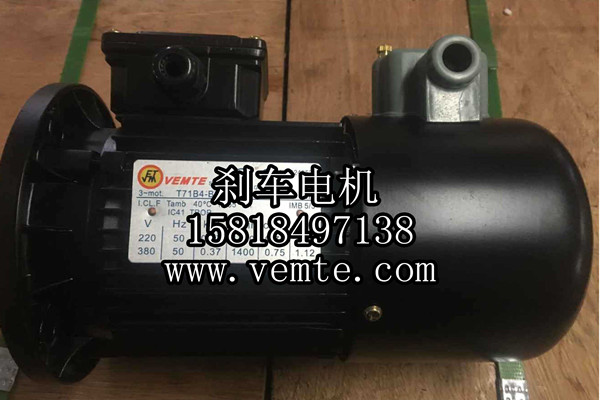 YEJ100LC2-4KW三相異步剎車電動機-- 永安銀河電力有限公司