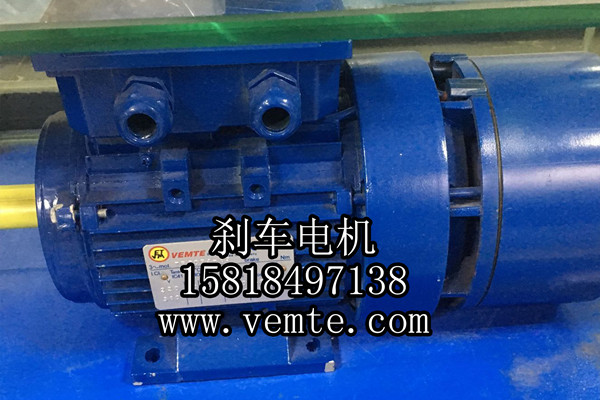 YEJ132MC2-11KW三相異步制動電機-- 永安銀河電力有限公司