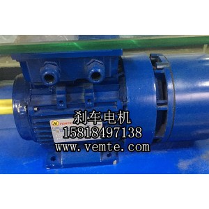 YEJ132MC2-11KW三相異步制動電機