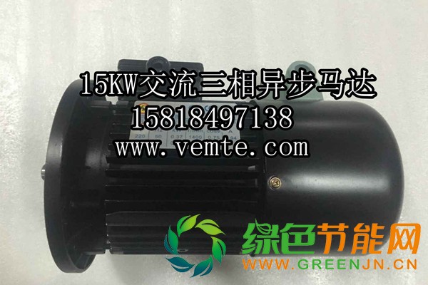 15KW交流三相異步馬達1