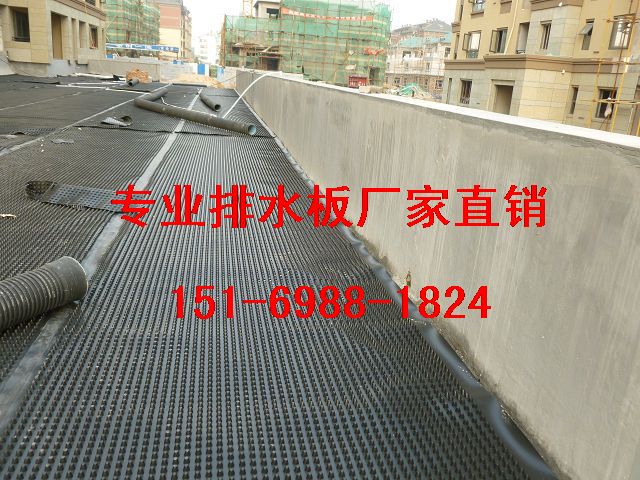 安慶1.5公分車庫頂板排水板～滁州2.5公分蓄排水板-- 泰安市綠泰建材有限公司
