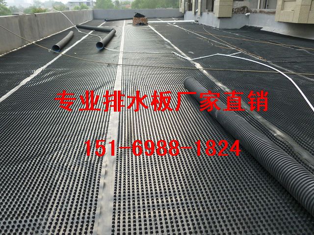 玉林地下室排水板(廠家)北海車庫疏水板(價格)-- 泰安市綠泰建材有限公司