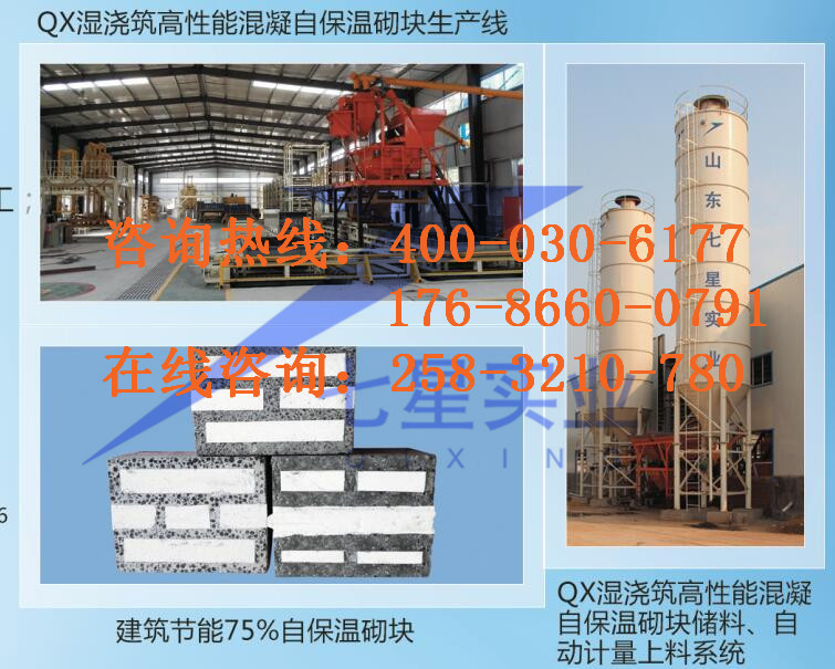 復合自保溫砌塊設備全自動墻體自保溫砌塊設備-品質保證-- 山東七星實業公司