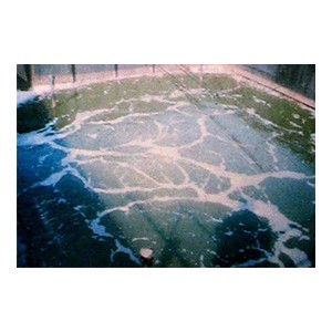 江西生活污水處理廠家污水吸附再生