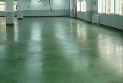 南召生產金剛砂廠家 綠色金剛砂材料-- 山東種曦蔬菜種子有限公司