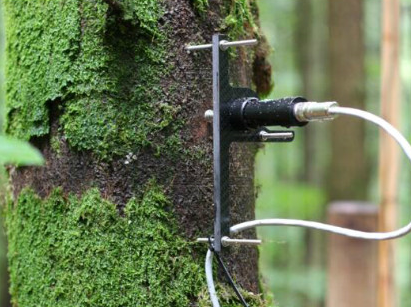 澳大利亞ICT 莖桿生長變化傳感器ZN11-T-WP-- 北京博倫經緯科技發展有限公司