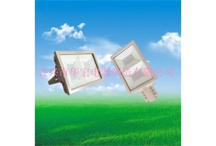 BAD808-L2 LED防爆泛光燈200W LED防爆路燈