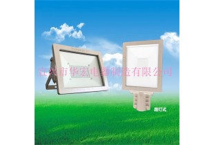 BAD808-L2 LED防爆投光燈LED防爆路燈頭100W