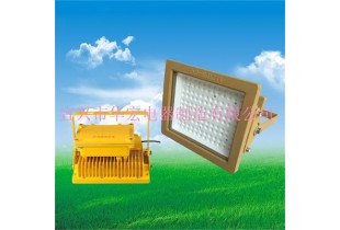 BFC8186 LED防爆泛光燈 LED防爆燈