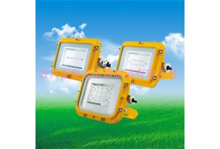 EFY8910-L6防爆節(jié)能多用途長(zhǎng)壽燈