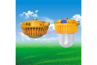 GCD9183B LED防爆燈 隔爆型LED防爆燈