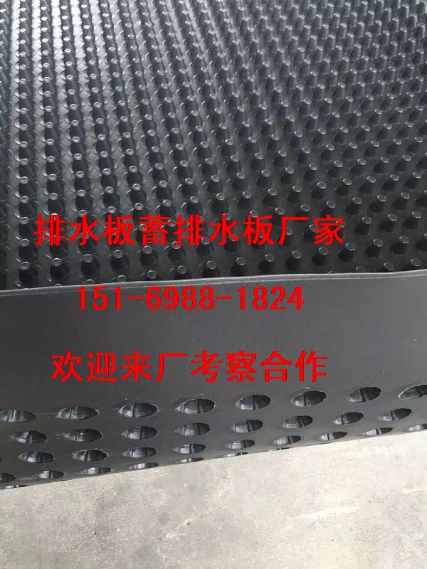贛州地下室底板排水板＞撫州3公分蓄排水板多少錢一平方米?-- 泰安市澤瑞土工材料有限公司